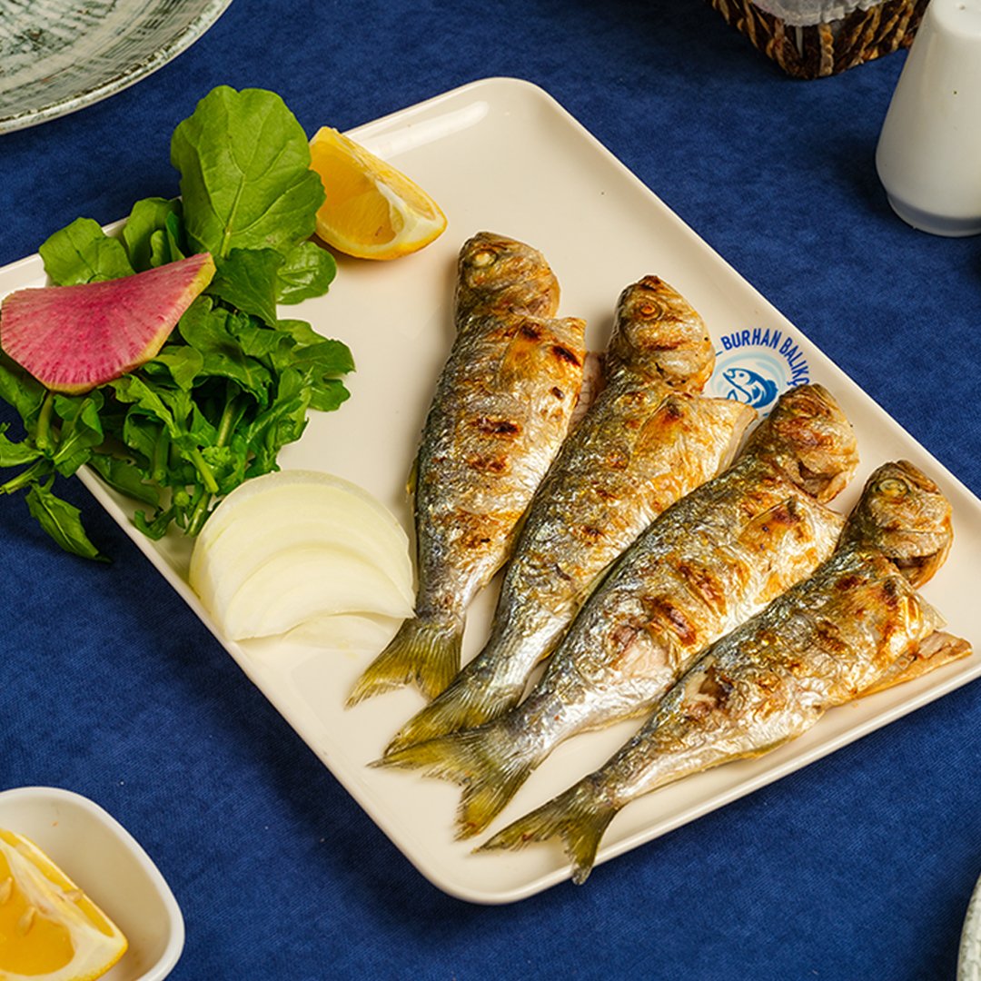Ahtapot Izgara