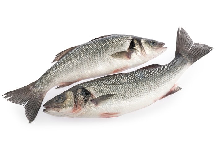 Levrek 800-1000 gram arası